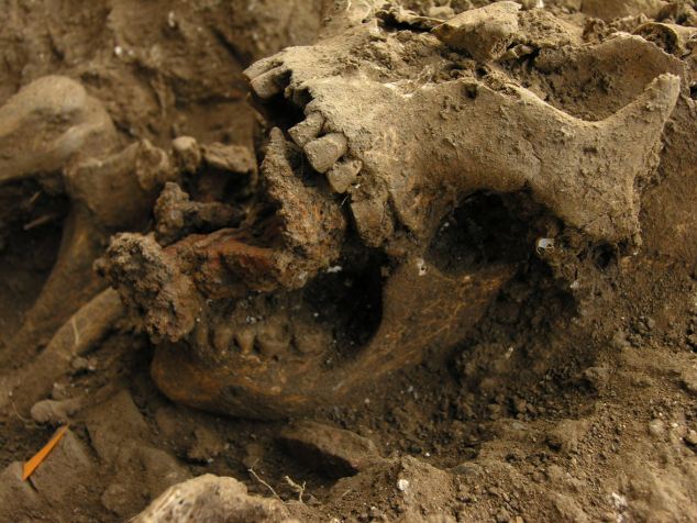 800-year-old remains of witch discovered in Italian graveyard