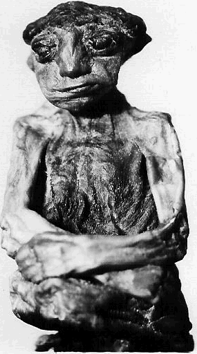 San Pedro Mountain Mummy