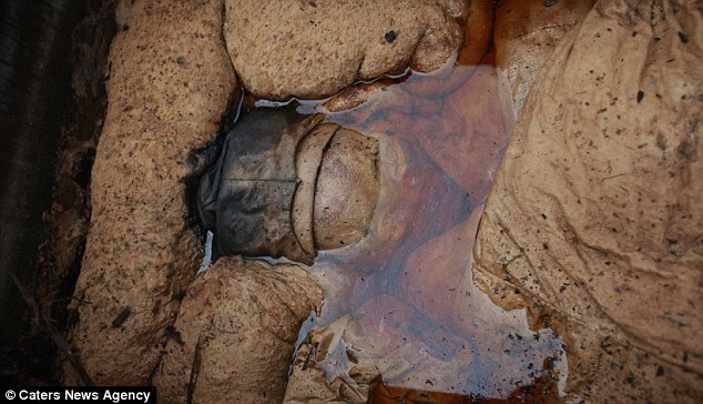 700-year-old Chinese mummy