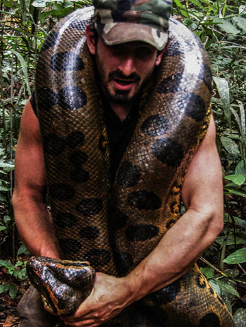 Eaten Alive by Anaconda