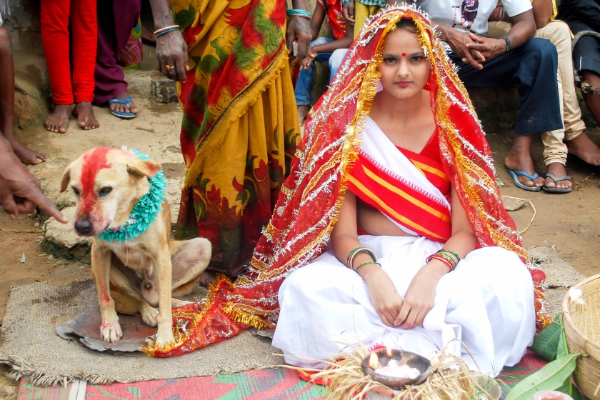 Girl Marry Dog India