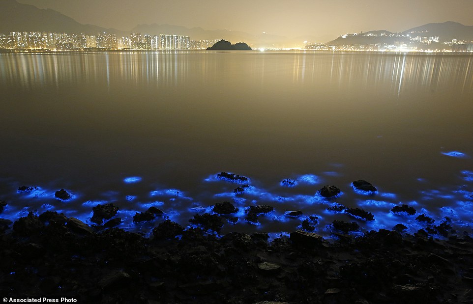 blue glow of Hong Kong seas