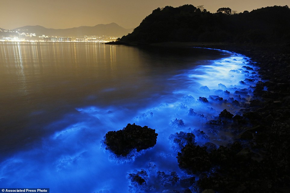 blue glow of Hong Kong seas