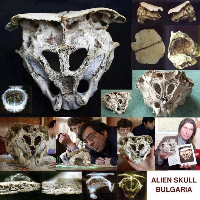 Bulgarian Alien Skull