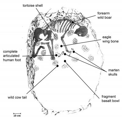 human anatomy diagram. human anatomy diagram