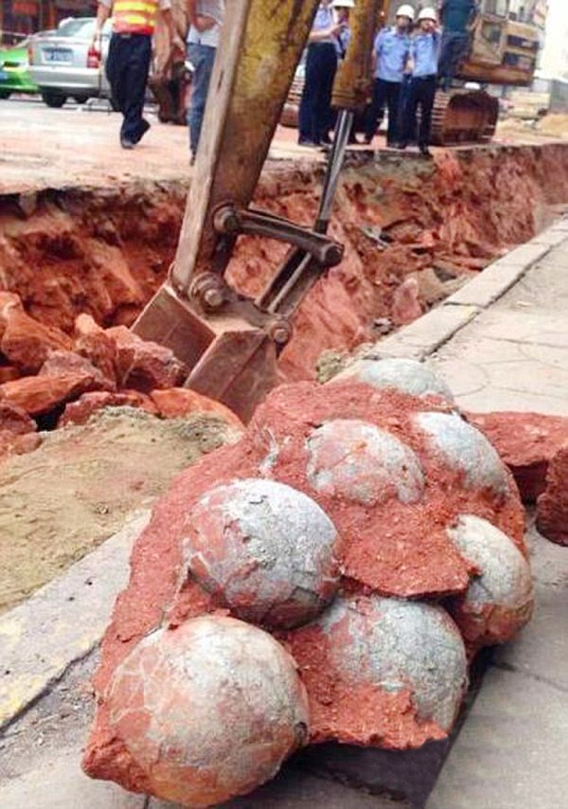 Dinosaur Egg found in China
