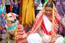 Indian-Girl-Marries-Dog