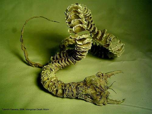 Mongolian Death Worm