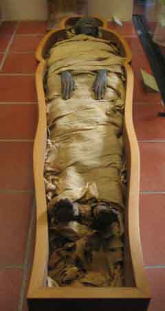 Egypt Mummies