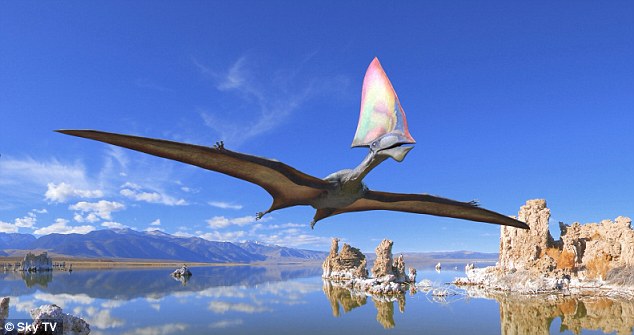 Live pterosaur video