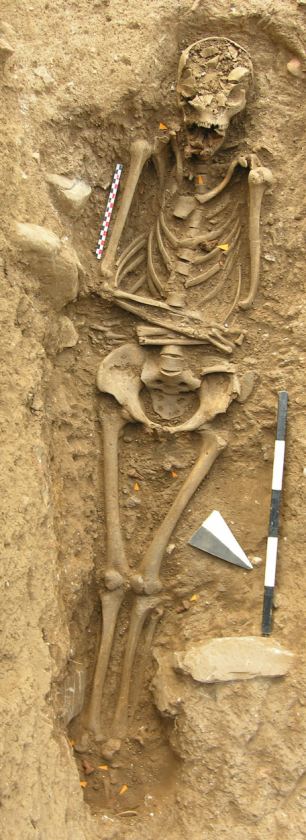 800-year-old-witch