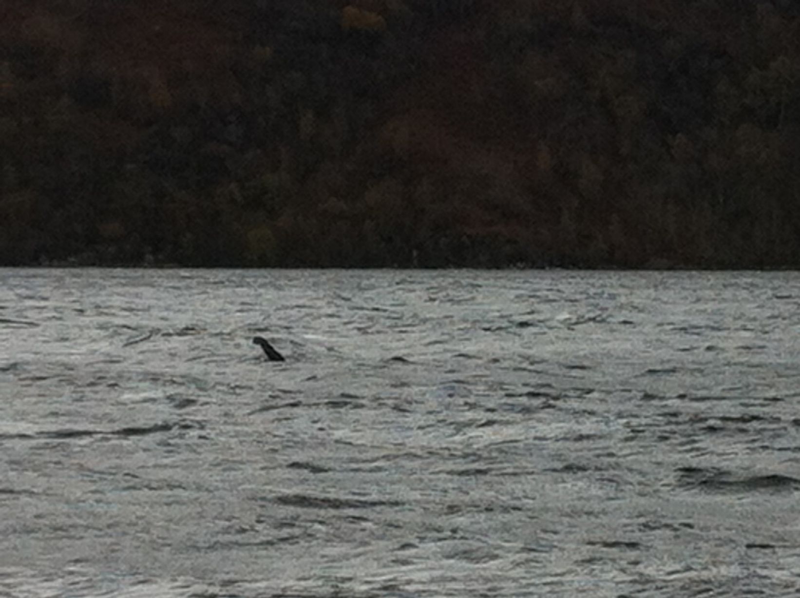 Loch Ness Monster