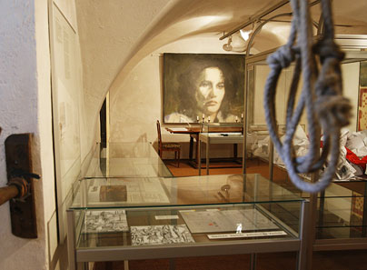 anna goeldi museum