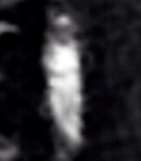 Ghost Image