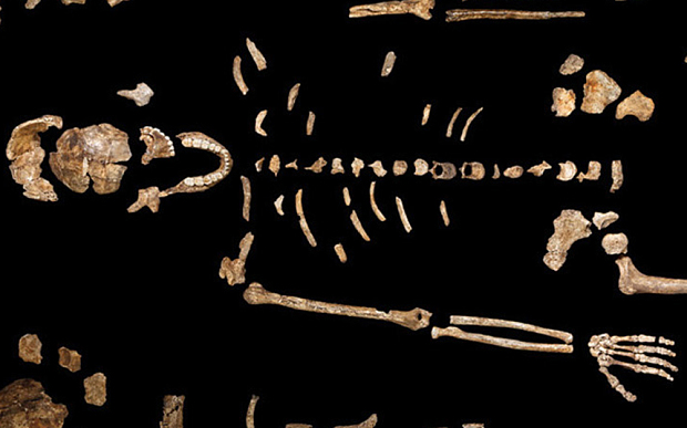 Homo Naledi