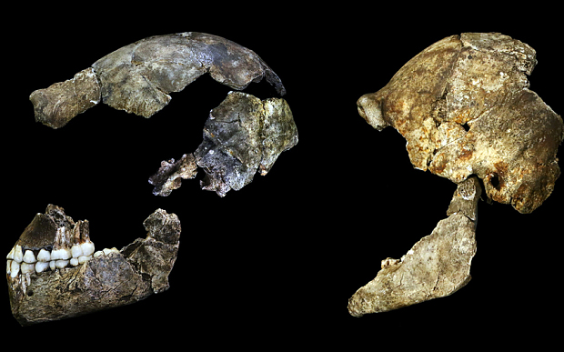 Homo Naledi