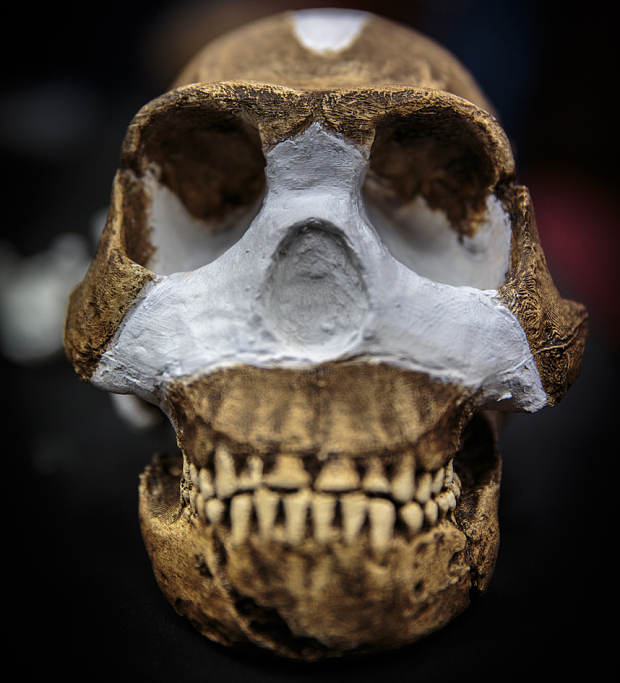 Homo Naledi