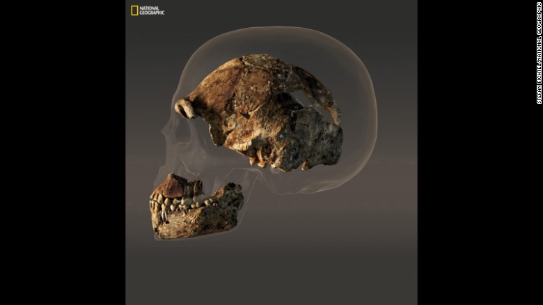 Homo Naledi