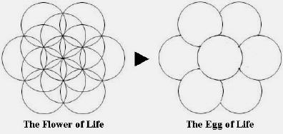 Sacred Geometry : Flower of Life