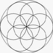 Sacred Geometry : Flower of Life