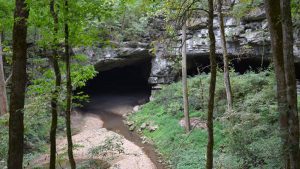 mammoth-cave