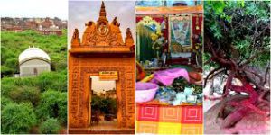 Nidhivan Temple Mystery