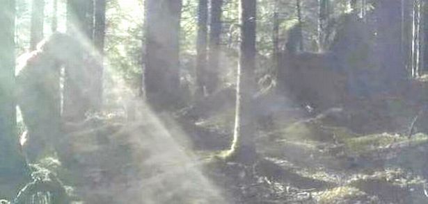 BigFoot on Camera