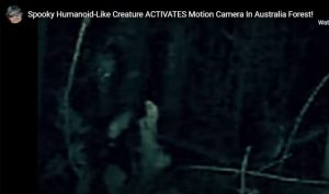 humanoid-alien