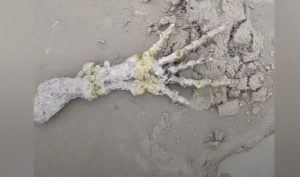 ET Alien Hand
