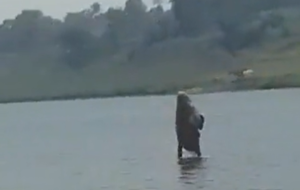 narmada goddess