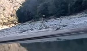 alien-bolivia