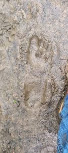 bigfoot-footprint