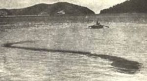 Sea-monster-hook-island