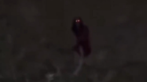 Ghost Video - India